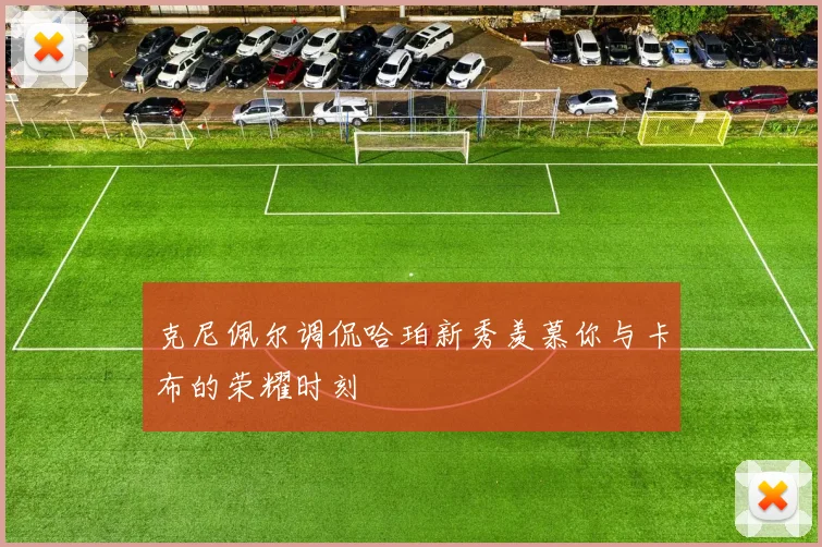 克尼佩尔调侃哈珀新秀羡慕你与卡布的荣耀时刻