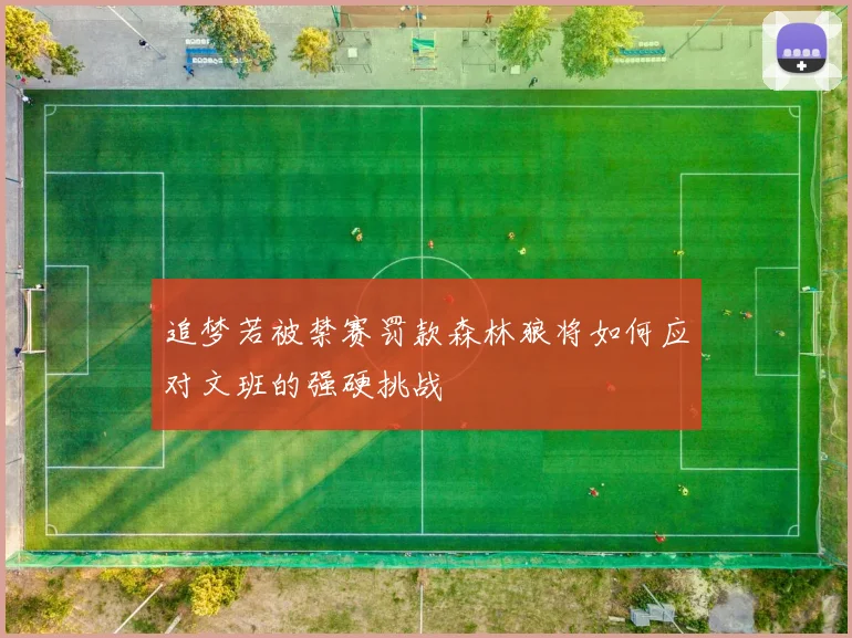 追梦若被禁赛罚款森林狼将如何应对文班的强硬挑战