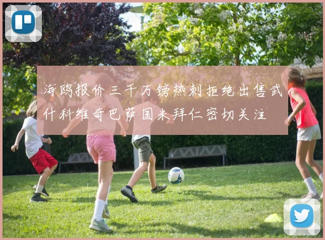 海鸥报价三千万镑热刺拒绝出售武什科维奇巴萨国米拜仁密切关注